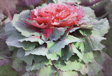 Similar image 2330661