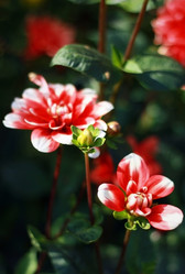 Similar image 2330662