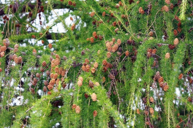 Similar image 2330663