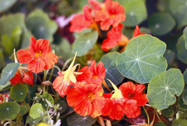 Similar image 2330664