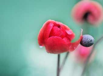 Similar image 2330783