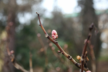 Similar image 2331642