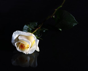 Similar image 2331748