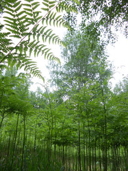 Similar image 2331749