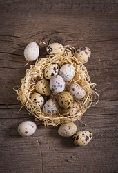 Similar image 2331818