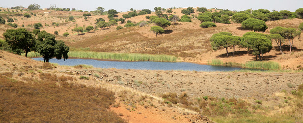 Similar image 2331834