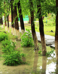 Similar image 2331853