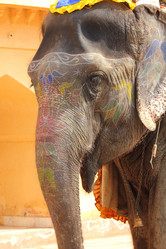 Similar image 2331857