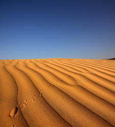 Similar image 2331891