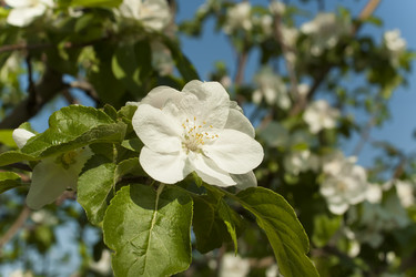 Similar image 2331911