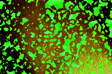 Similar image 2332257