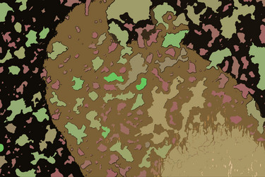 Similar image 2332259