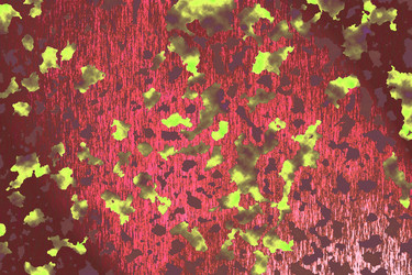 Similar image 2332262