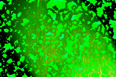 Similar image 2332263