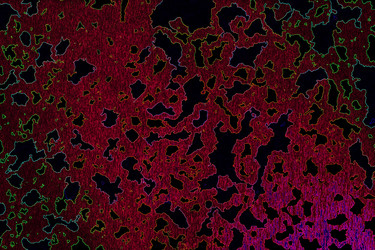 Similar image 2332269