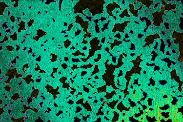 Similar image 2332271