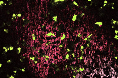 Similar image 2332273