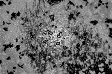 Similar image 2332276