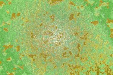 Similar image 2332277