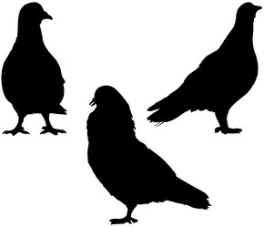 Similar image 2332285