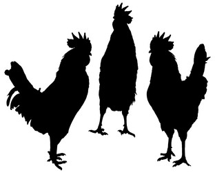 Similar image 2332287