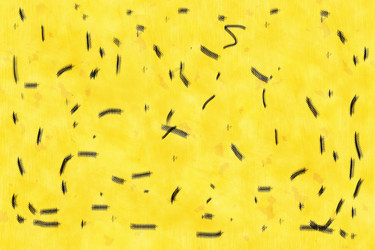 Similar image 2332316