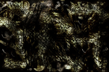 Similar image 2332330