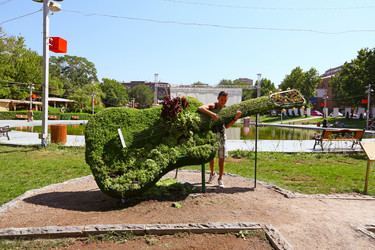 Similar image 2332332