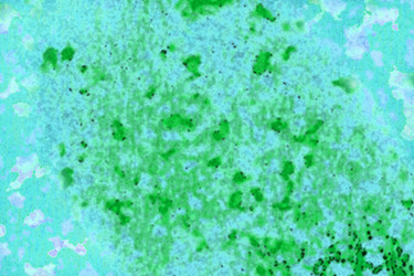 Similar image 2332345