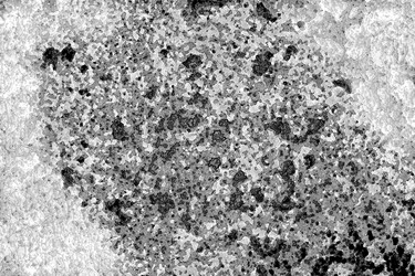 Similar image 2332346