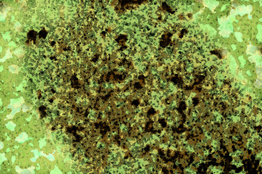 Similar image 2332347