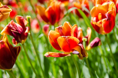 Similar image 2332959