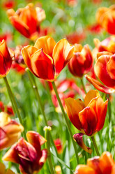 Similar image 2332961