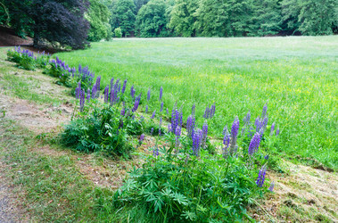 Similar image 2333249