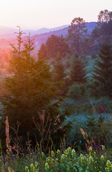 Similar image 2333263