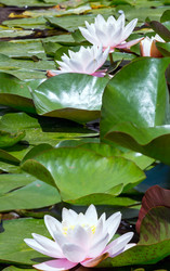 Similar image 2333271