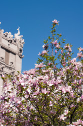 Similar image 2333277