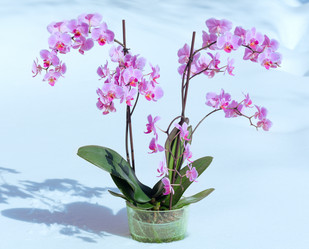 Similar image 2333300