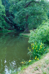 Similar image 2333348