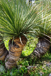 Similar image 2333350