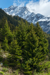 Similar image 2333351