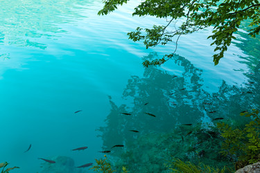 Similar image 2333352