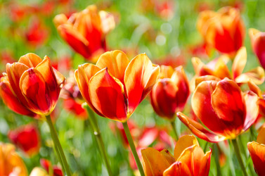 Similar image 2333438