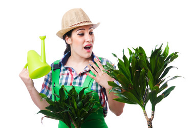 Similar image 2333493