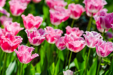 Similar image 2333517