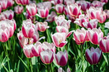 Similar image 2333521