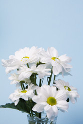 Similar image 2333588