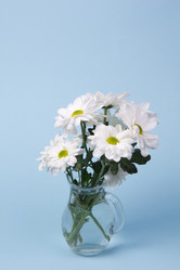 Similar image 2333593