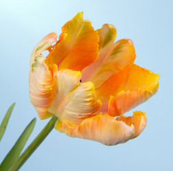 Similar image 2333600