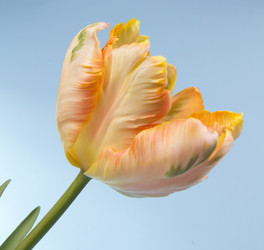 Similar image 2333601